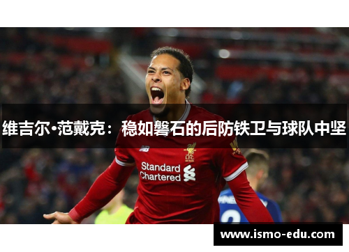 维吉尔·范戴克：稳如磐石的后防铁卫与球队中坚