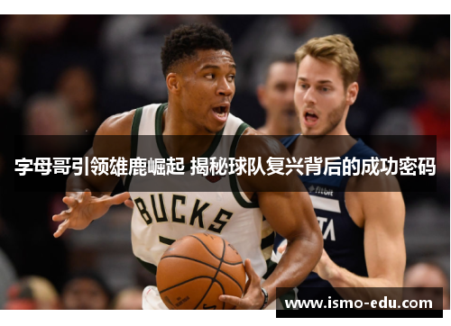 字母哥引领雄鹿崛起 揭秘球队复兴背后的成功密码