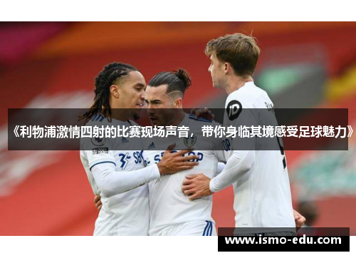 《利物浦激情四射的比赛现场声音，带你身临其境感受足球魅力》